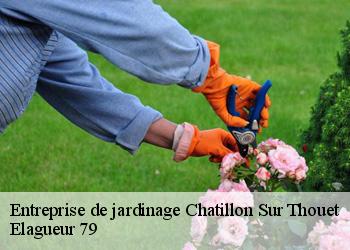 Entreprise de jardinage  chatillon-sur-thouet-79200 Elagueur 79