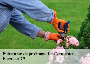 Entreprise de jardinage  le-cormenier-79360 Elagueur 79