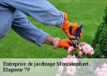 Entreprise de jardinage  montalembert-79190 Elagueur 79