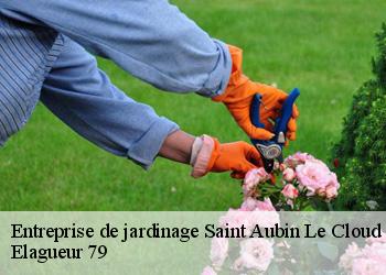 Entreprise de jardinage saint-aubin-le-cloud-79450 Elagueur 79