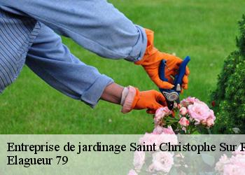 Entreprise de jardinage  saint-christophe-sur-roc-79220 Elagueur 79