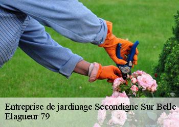 Entreprise de jardinage  secondigne-sur-belle-79170 Elagueur 79