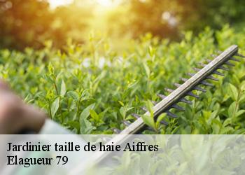 Jardinier taille de haie aiffres-79230 Elagueur 79