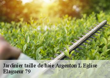 Jardinier taille de haie  argenton-l-eglise-79290 Elagueur 79