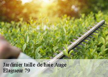 Jardinier taille de haie  auge-79400 Elagueur 79