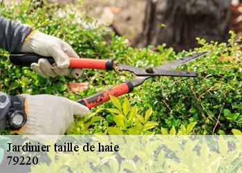 Jardinier taille de haie 79220