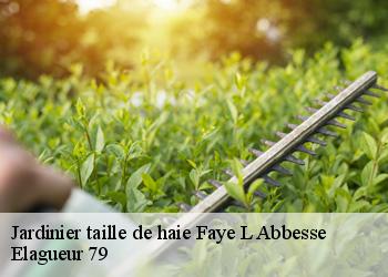 Jardinier taille de haie  faye-l-abbesse-79350 Elagueur 79