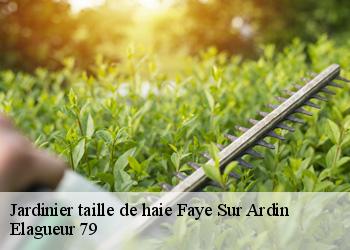 Jardinier taille de haie  faye-sur-ardin-79160 Elagueur 79