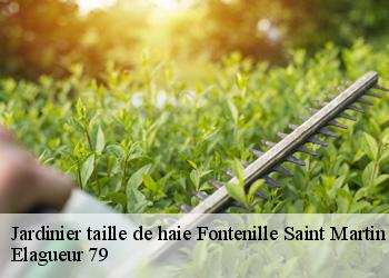 Jardinier taille de haie  fontenille-saint-martin-d-en-79110 Elagueur 79