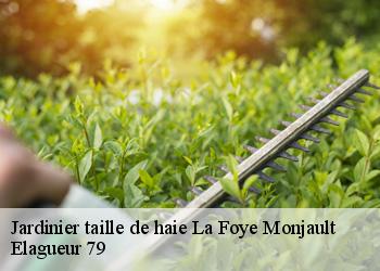 Jardinier taille de haie  la-foye-monjault-79360 Elagueur 79