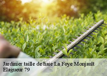 Jardinier taille de haie la-foye-monjault-79360 Elagueur 79
