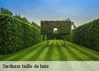 Jardinier taille de haie