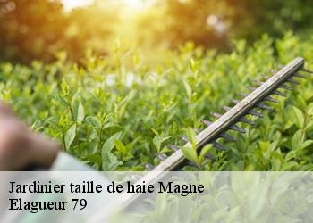 Jardinier taille de haie  magne-79460 Elagueur 79