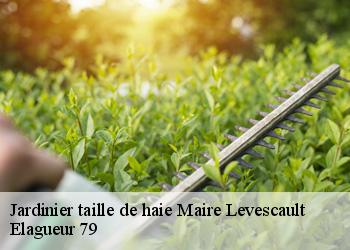 Jardinier taille de haie  maire-levescault-79190 Elagueur 79