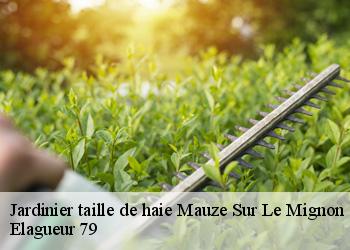 Jardinier taille de haie mauze-sur-le-mignon-79210 Elagueur 79
