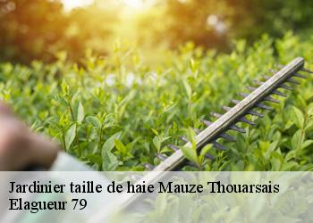 Jardinier taille de haie  mauze-thouarsais-79100 Elagueur 79