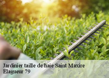 Jardinier taille de haie  saint-maxire-79410 Elagueur 79