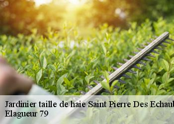 Jardinier taille de haie saint-pierre-des-echaubrogne-79700 Elagueur 79